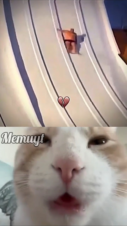 Any title? #memuyt #shorts