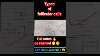 Types of follicular cells 🔥| zoology|Full video on channel 🔥#zoology #biology #allstudents