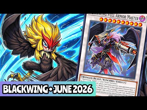 yugioh best blackwing deck Complete Custom for Yu-Gi-Oh! 5D's black feather Deck 2014 /