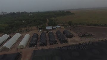 Bamboo Charcoal - EcoPlanet Bamboo