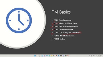 19 SAP HCM Understanding Time Evaluation for Payroll processing (PT60)
