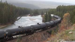 Morant's Curve