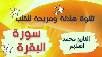 سورة البقرة من الاية  30 حتى 37 بصوت | القارئ محمد اسليم 2023