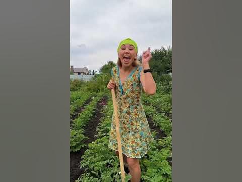 Соседки - YouTube