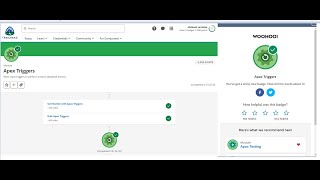 Bulk Apex Triggers Apex Triggers Trailhead Challenge