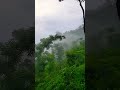 naturaleza