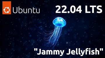 VMware OS Installations: Ubuntu 22.04 LTS "Jammy Jellyfish"