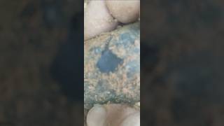 I Found Pitch Black Chert Today