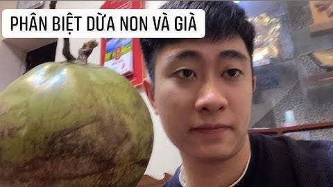 Cùng mình phân biệt Dừa Non và Già