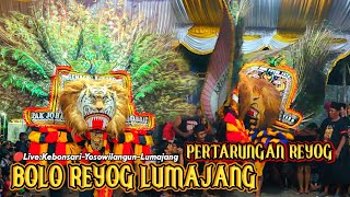 MEMANAS PERTARUNGAN ANTAR DADAK MERAK!!BOLO REYOG LUMAJANG LIVE DESA KEBONSARI-YOSOWILANGUN-LUMAJANG