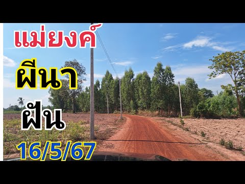 ตามผีนาแม่ยงค์ฝันแม่น#16/5/67