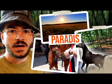 CEA MAI FRUMOASA LOCATIE DIN ROMANIA | Singureni Manor | Fac Vlog 97