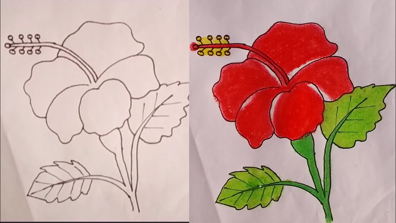 Javakusum flower drawing/How to draw a easy Hibiscus flower drawing/Gudhal flower drawing 