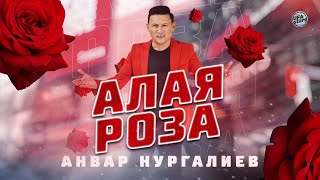 Премьера 2022! Анвар Нургалиев - Алая роза / Любимым женщинам с 8 марта!