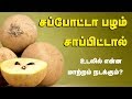 Sapota fruit health benefits  chikoo fruit  tamil health tips