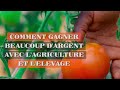 COMMENT GAGNER DE L'ARGENT AVEC L'AGRICULTURE ET L'ELEVAGE?