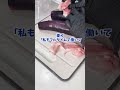 在宅ワークになったら 晩ご飯を作れって言われました