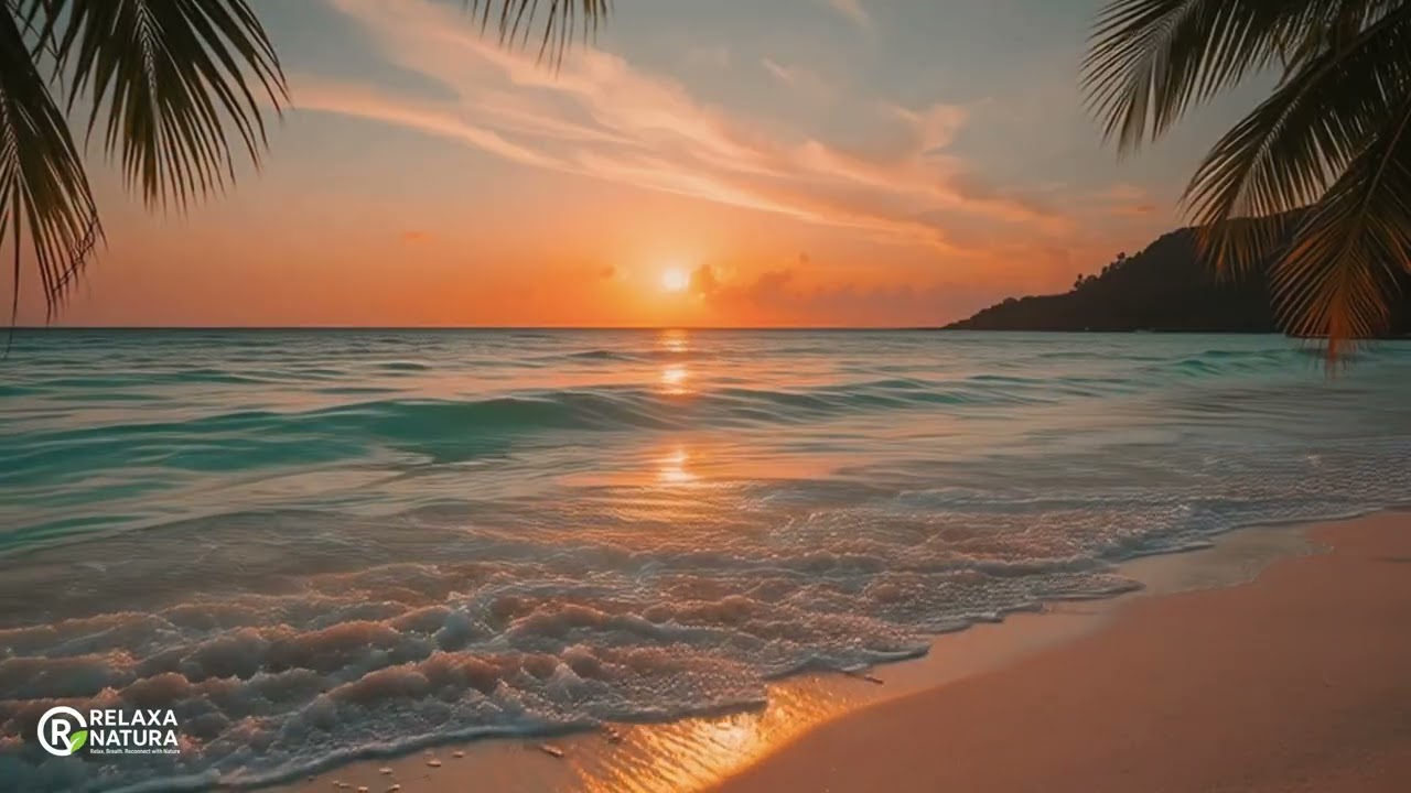 Soothing Tropical Sunset Waves for Deep Sleep Therapy | 1 Hour Ocean Sounds