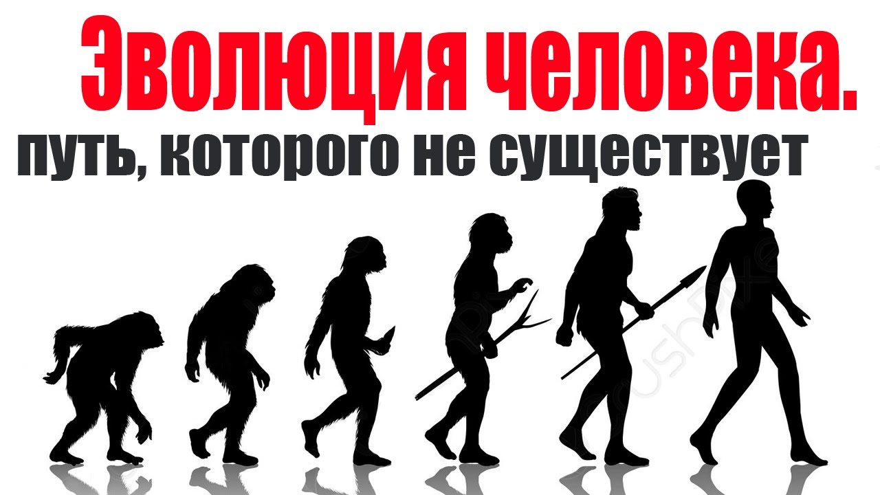Эволюция бывшие. Виргиния &quot;эволюция сознания&quot;.