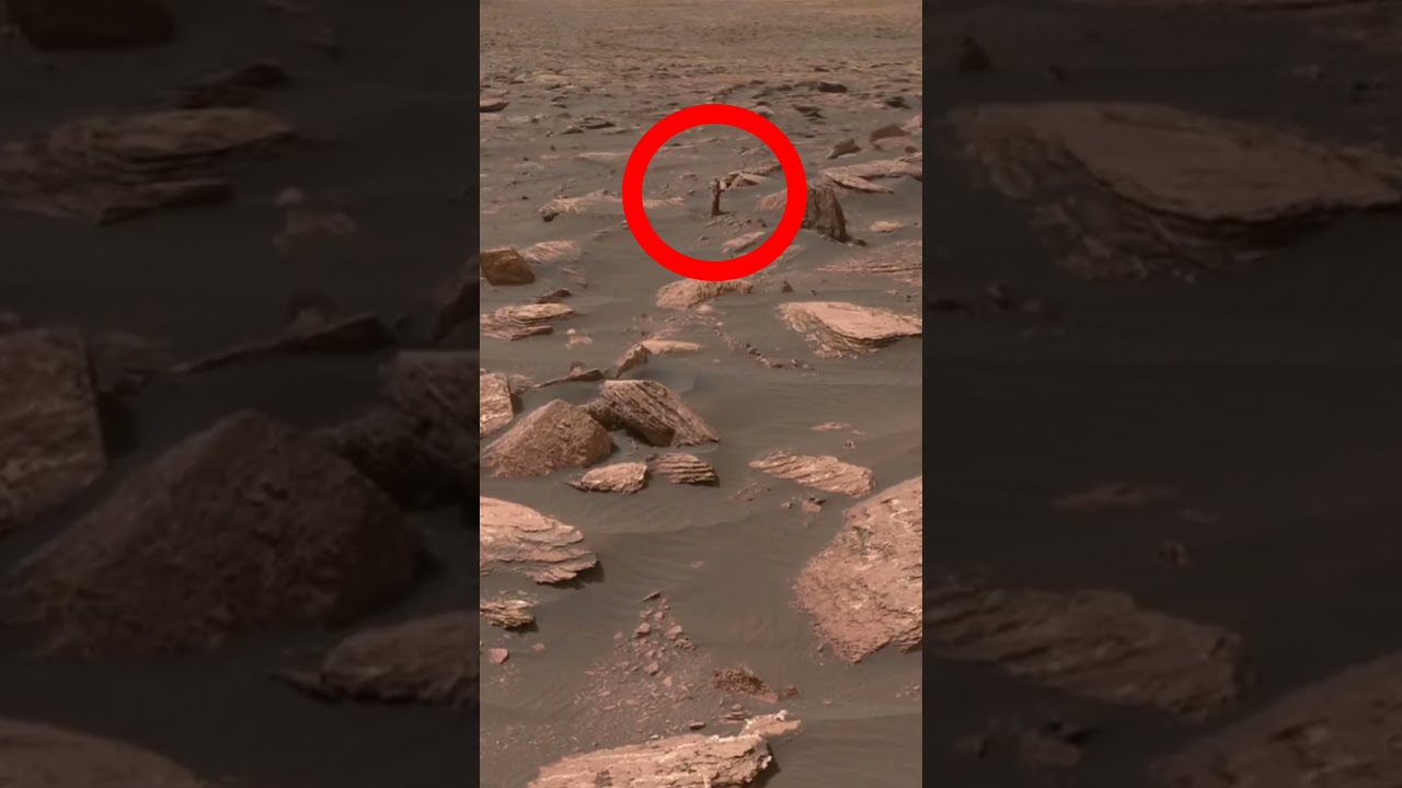 NASA MARS Curiosity This Image Was Taken By Mars Rover