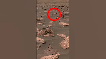 NASA MARS Curiosity This Image Was Taken By Mars Rover Curiosity Curiosity 