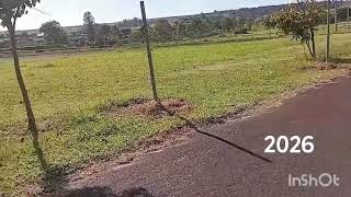 Hoje estive no parque ecológico falando do meu cachorro que eu gostava muito 