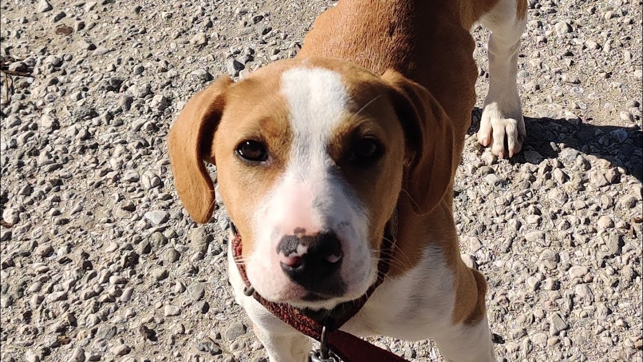 Kayaköyü ve Gemile Koyu MTB Sürüş