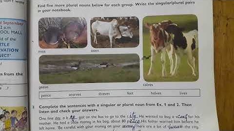 CLASS 5   AUGUST   ENGLISH   LECTURE 2