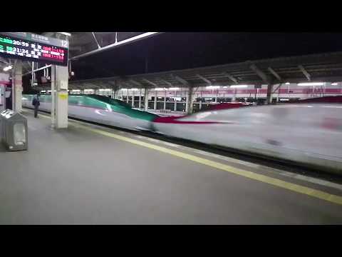 東北新幹線 はやぶさ こまち 通過【shinkansen  320km/h】