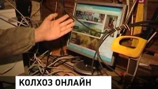 В Новосибирской области воплощают в жизнь идею виртуального колхоза В Новосибирской области воплощают в жизнь идею виртуального колхоза