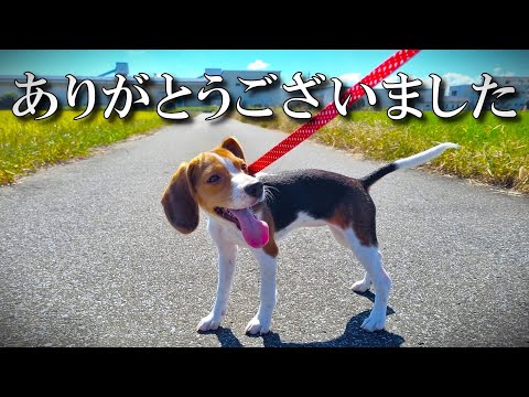 【ご報告】今後の活動についてお知らせ