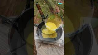 Công Thức Cuốn Thủy Nguyên Cùng Chảo, Nồi Và Bếp Ga