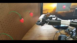 6-Axis Strawberry Picker