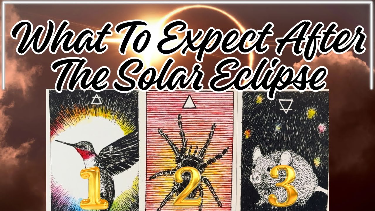 What To Expect After This Solar Eclipse on 9/21/25 🌕Pick A Card🌞