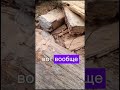 Три стены дома уже поменяли брёвна, меняем  бревно на брус и на старое, но еще крепкое бревно с бани
