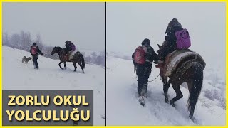 Kar Yolu Kapatınca, Çocukları At Sırtında Okula Götürdü