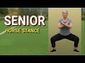 Over 60? What happens if you do the HORSE STANCE every day | Senior Health Tips
