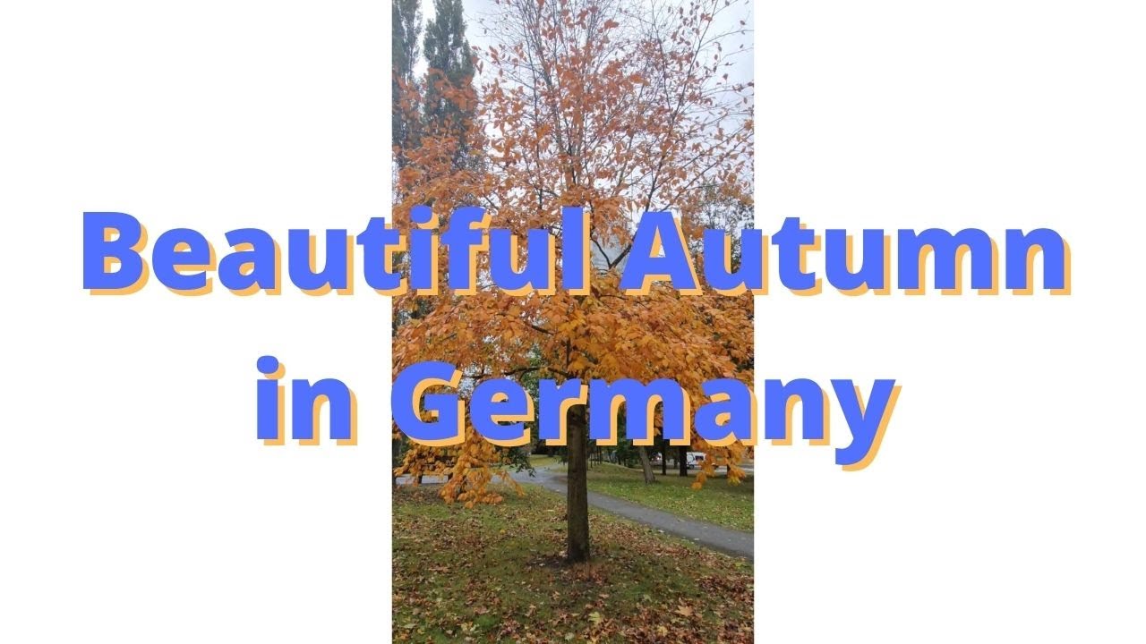 Beautiful Autumn in Germany || Herbst in Deutschland || Life in Germany