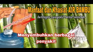 Khasiat dan manfaat air bambu untuk kesehatan dan kecantikan