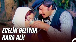 Kara Aliye Dünyayı Dar Edeceğim Yanaşma Resimi