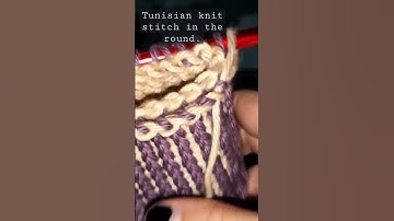 Tunisian knit stitch in the round.