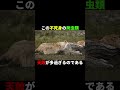 【ゆっくり解説】寿命は克服できたワニについてこっそり教えます