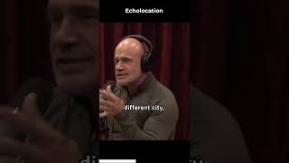 Echolocation😳 #shorts #JoeRogan #JRE #JoeRoganExperience