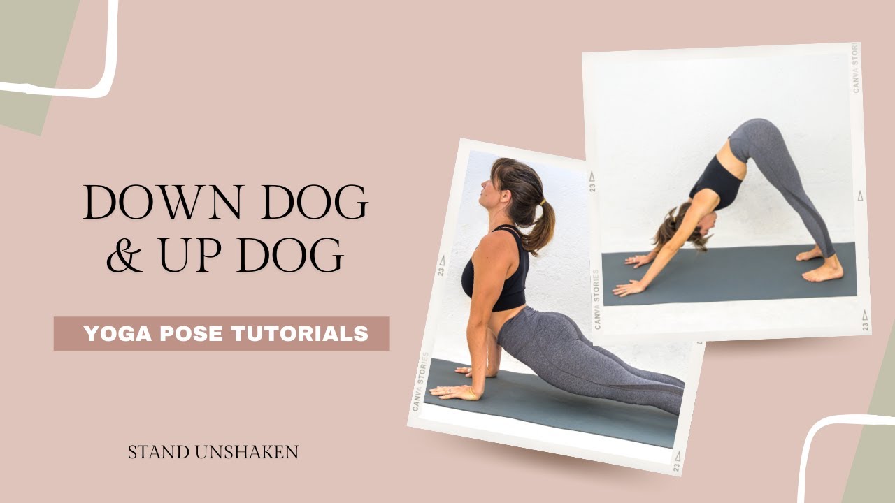How to do Downward Dog & Upward Dog YouTube