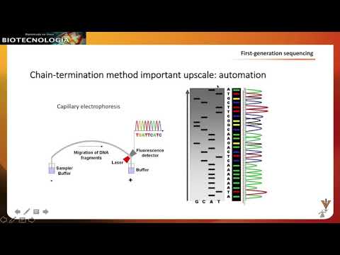 Video: ¿Cuál es la diferencia entre la secuenciación de Sanger y la secuenciación de próxima generación?
