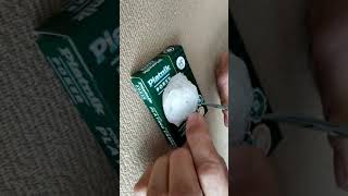 Poecilotheria Ornata