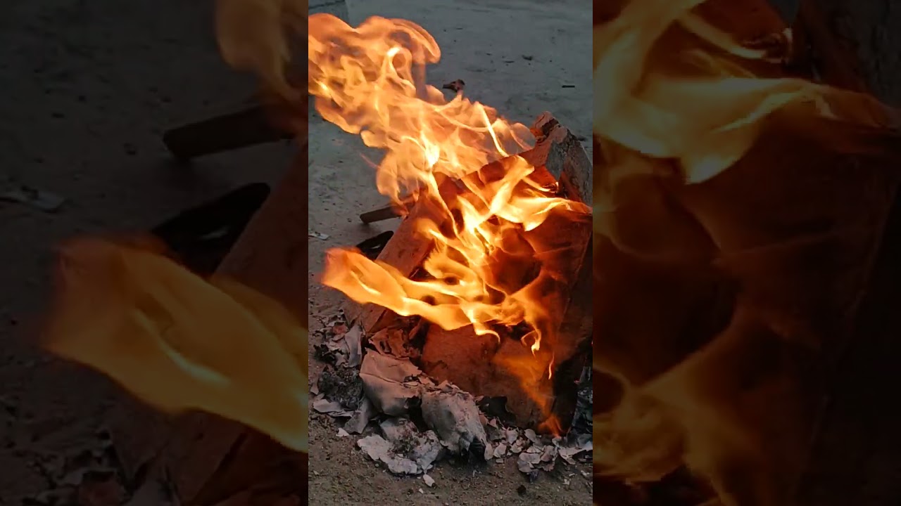 Bhogi 2025: A Glimpse Into the Heart of the Festival 