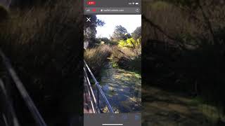 NFT/AR Scavenger Hunt