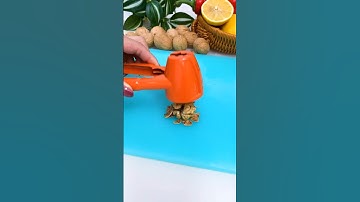 Tech home - The pecan cracker can easily open the shells of nuts and hazelnuts