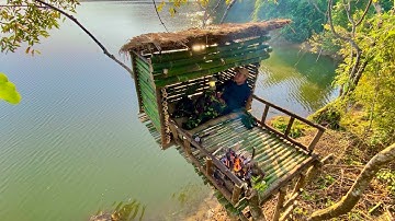 Building a High Tree Shelter to Escape Wild Animals | Overnight Survival Fire